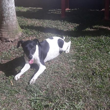 Sitio E Pousada Recanto Dos Ipes Teresopolis Ngoại thất bức ảnh