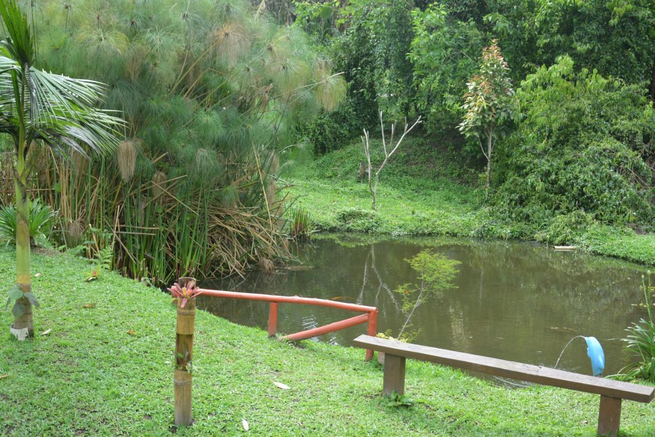 Sitio E Pousada Recanto Dos Ipes Teresopolis Ngoại thất bức ảnh